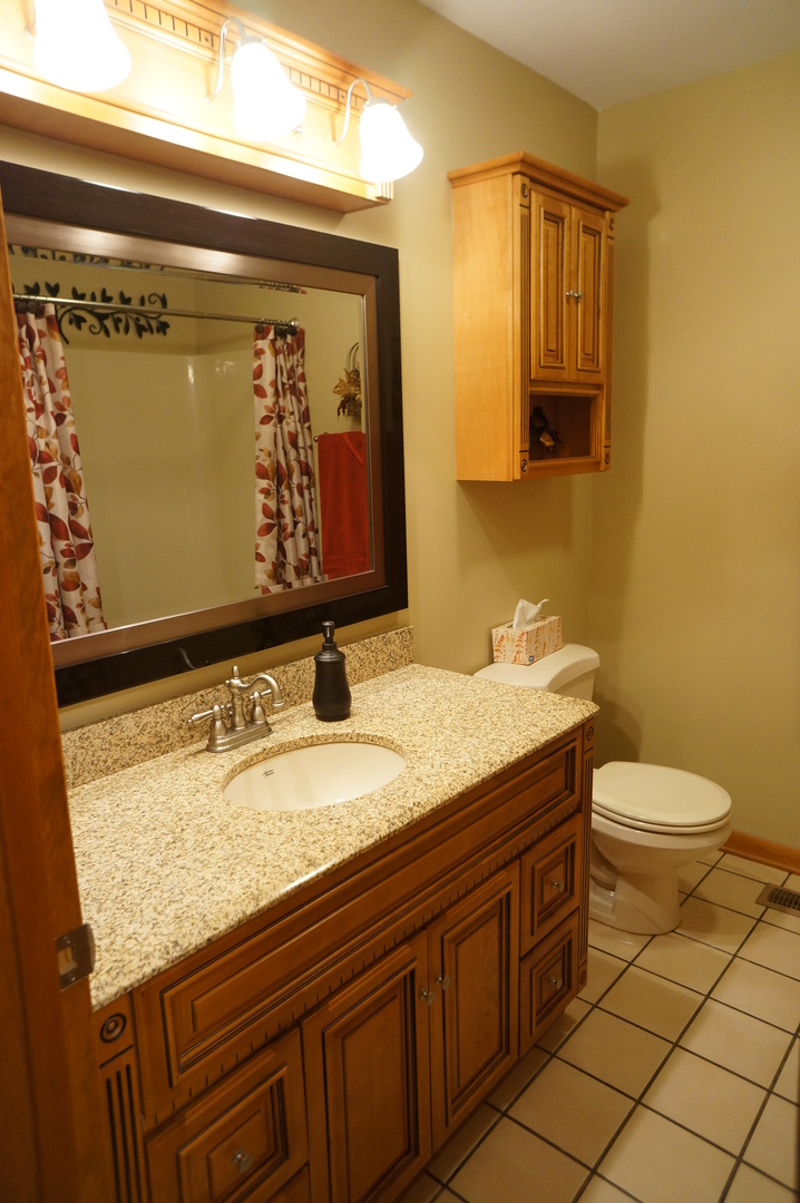 787 Amanda Road New Lenox, IL 60451 - Photo 20 of 30