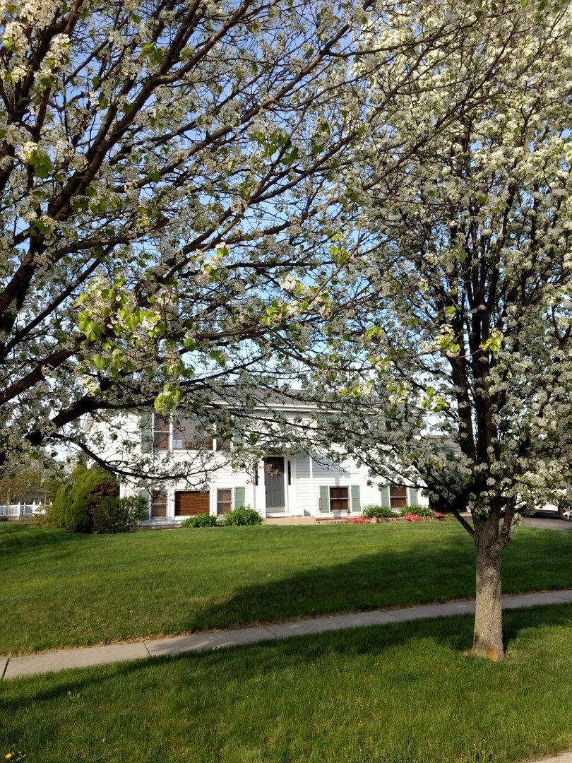 787 Amanda Road New Lenox, IL 60451 - Photo 22 of 30