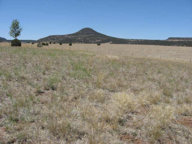 1 West Seeley Drive Road, Unit 1 Young, AZ 85554 - Photo 1 of 6 Primary Photo