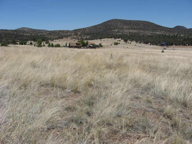 1 West Seeley Drive Road, Unit 1 Young, AZ 85554 - Photo 3 of 6 Additional Photo