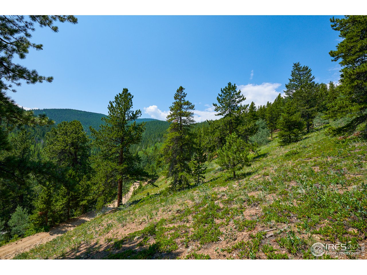 0 Gamble Gulch Road Black Hawk, CO 80422 - Photo 1 of 23 Gallery Image 1
