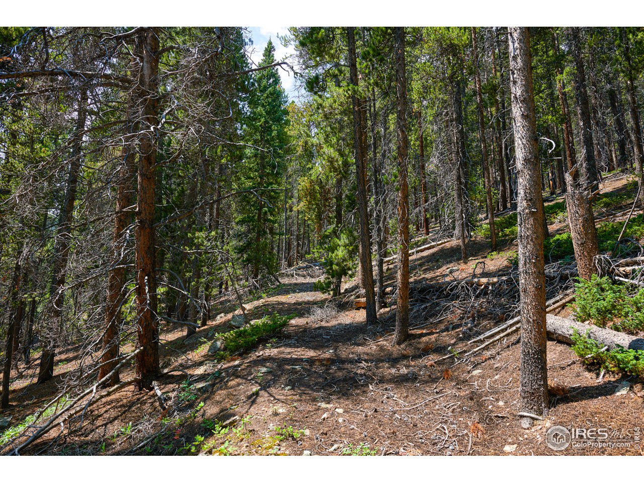 0 Gamble Gulch Road Black Hawk, CO 80422 - Photo 14 of 23 Gallery Image 14