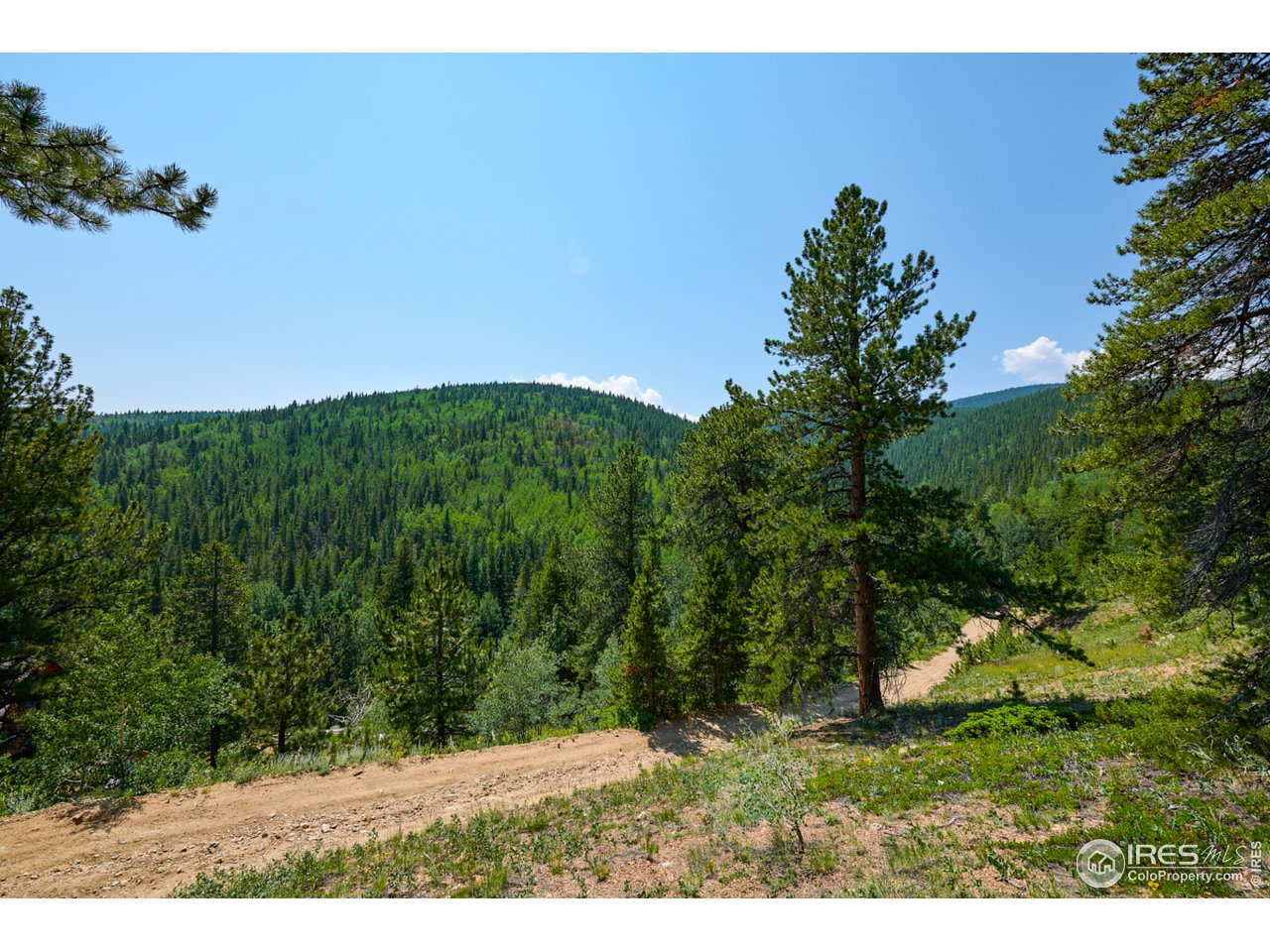 0 Gamble Gulch Road Black Hawk, CO 80422 - Photo 15 of 23 Gallery Image 15