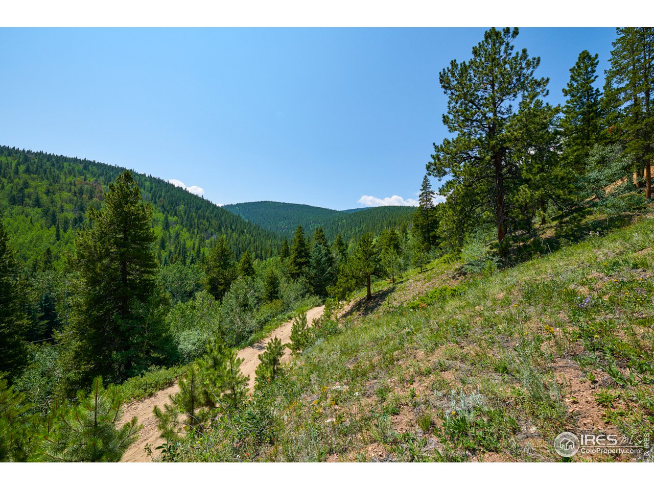 0 Gamble Gulch Road Black Hawk, CO 80422 - Photo 16 of 23 Gallery Image 16