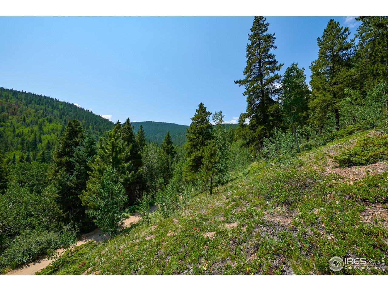 0 Gamble Gulch Road Black Hawk, CO 80422 - Photo 17 of 23 Gallery Image 17