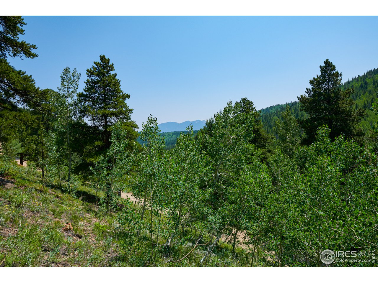 0 Gamble Gulch Road Black Hawk, CO 80422 - Photo 6 of 23 Gallery Image 6
