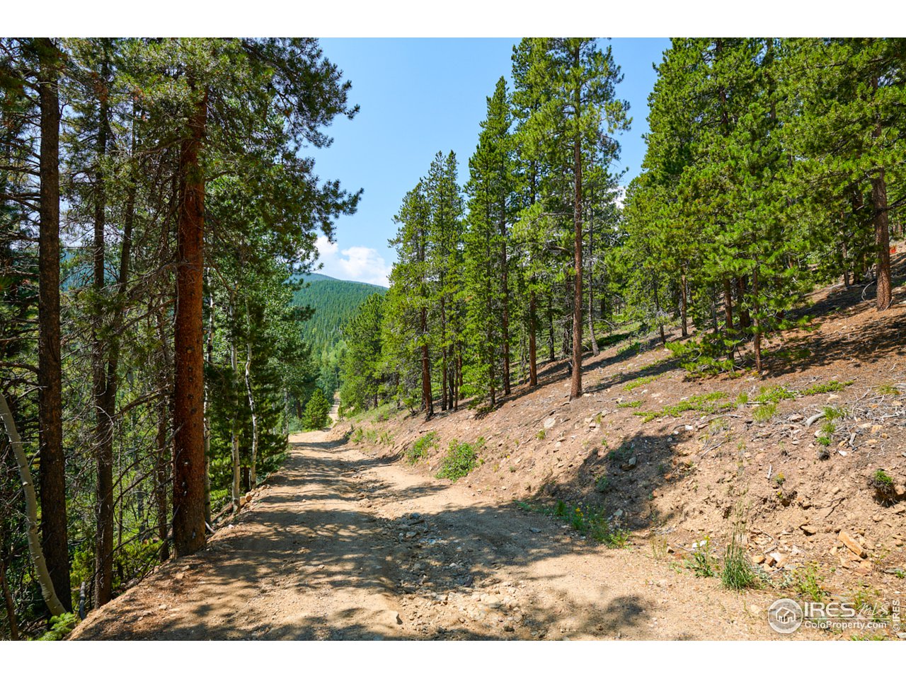 0 Gamble Gulch Road Black Hawk, CO 80422 - Photo 7 of 23 Gallery Image 7