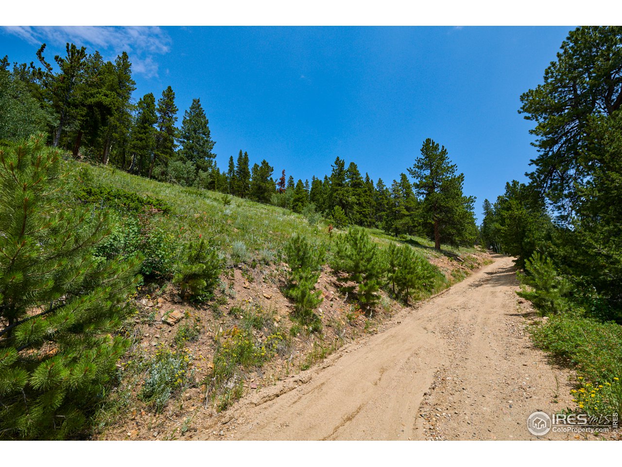 0 Gamble Gulch Road Black Hawk, CO 80422 - Photo 8 of 23 Gallery Image 8