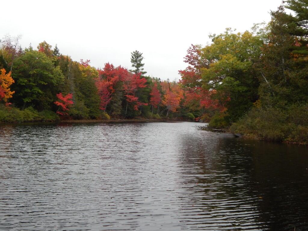 Sherwood Pond -South frontage view