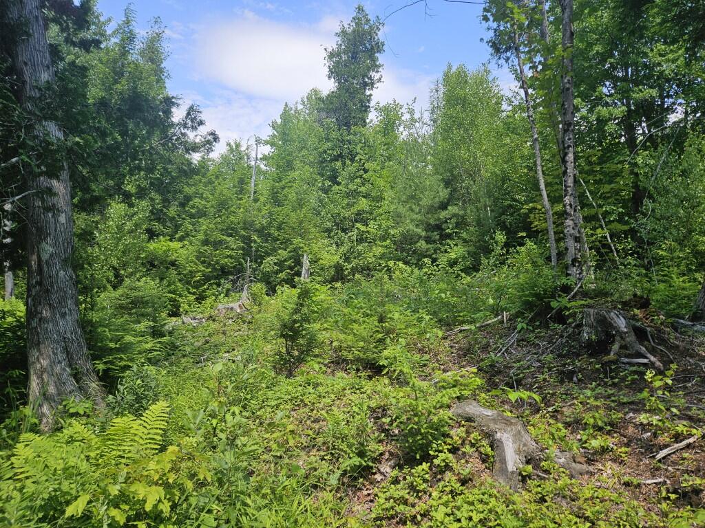 M5-l5 Call Road Milford, ME 04461 - Photo 13 of 51 20250706_130042
