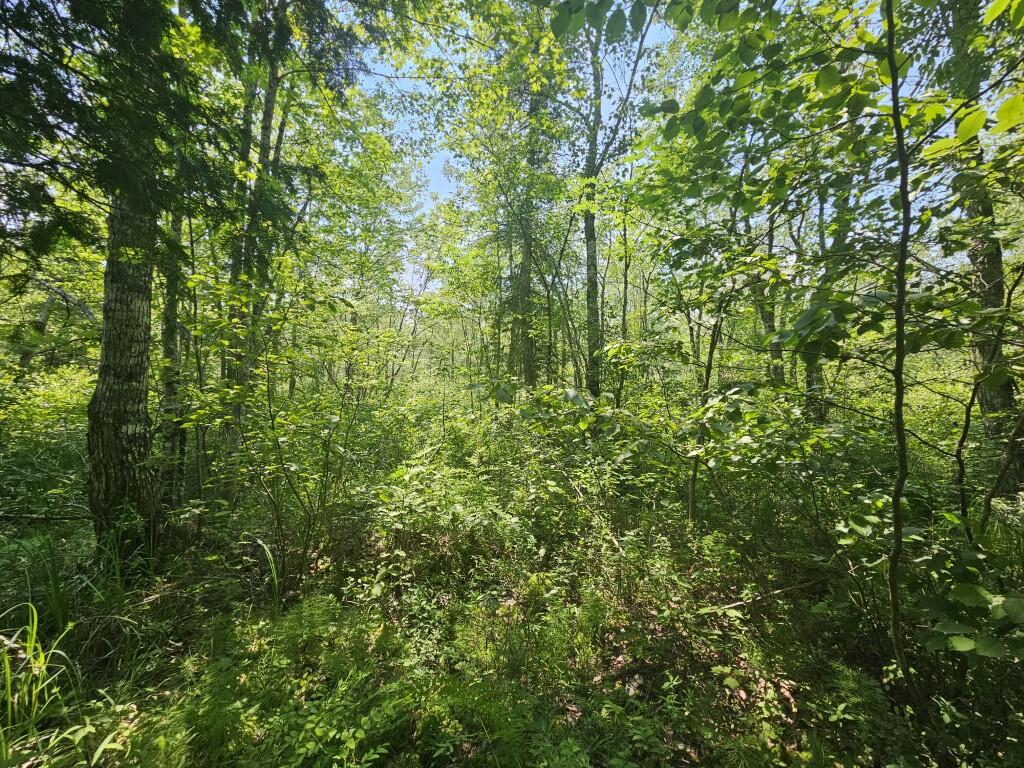 M5-l5 Call Road Milford, ME 04461 - Photo 14 of 51 20250706_125911