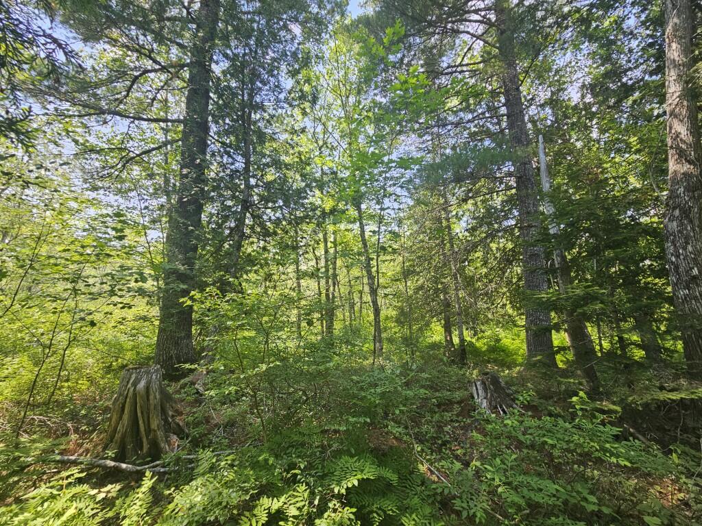 M5-l5 Call Road Milford, ME 04461 - Photo 15 of 51 20250706_125849