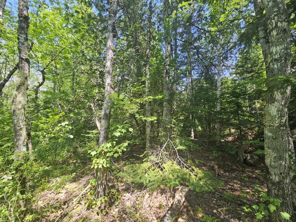 M5-l5 Call Road Milford, ME 04461 - Photo 17 of 51 20250706_125513