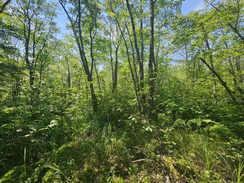 M5-l5 Call Road Milford, ME 04461 - Photo 18 of 51 20250706_125505