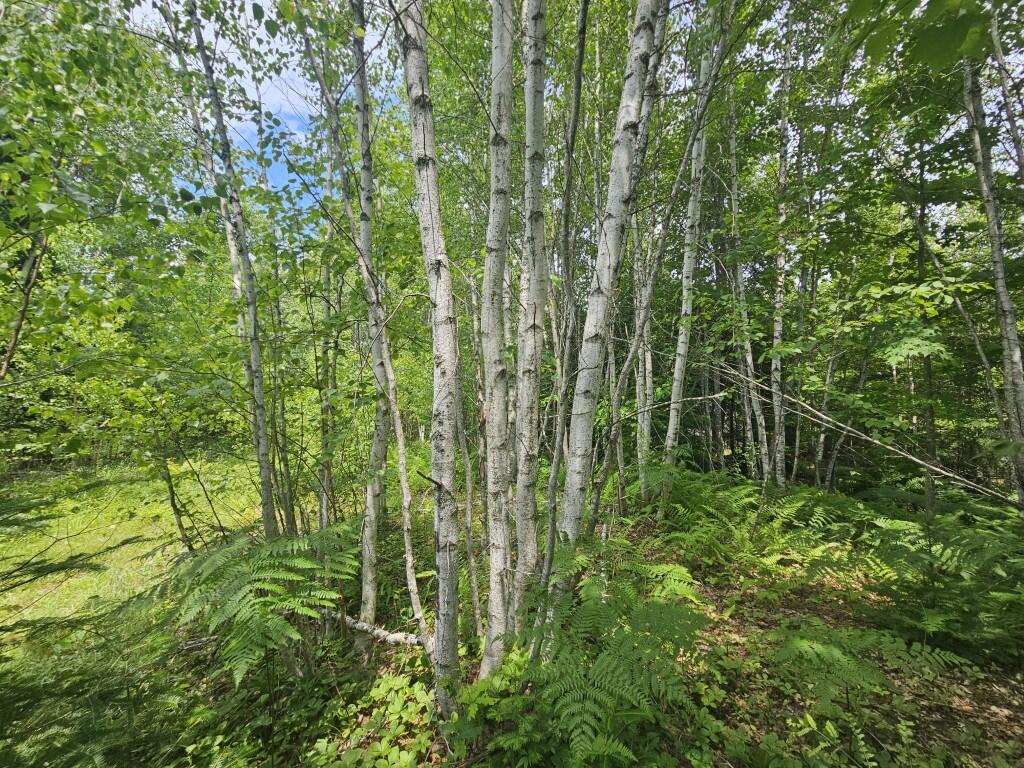 M5-l5 Call Road Milford, ME 04461 - Photo 20 of 51 20250706_124207