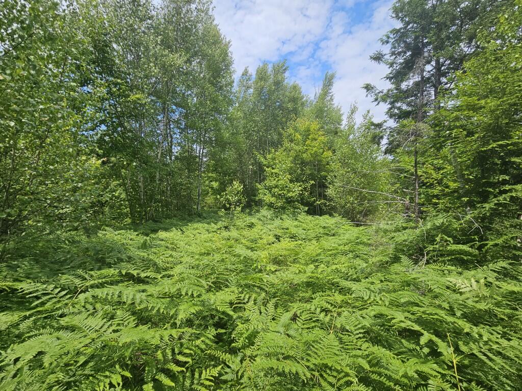 M5-l5 Call Road Milford, ME 04461 - Photo 21 of 51 20250706_124058