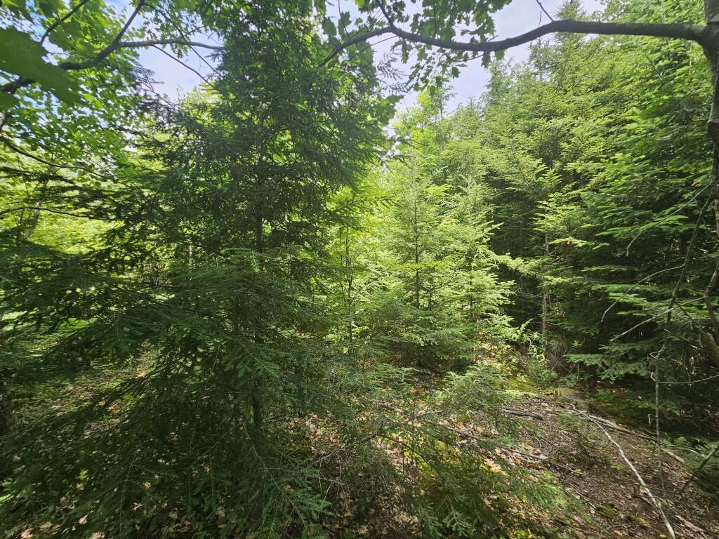 M5-l5 Call Road Milford, ME 04461 - Photo 22 of 51 20250706_124038