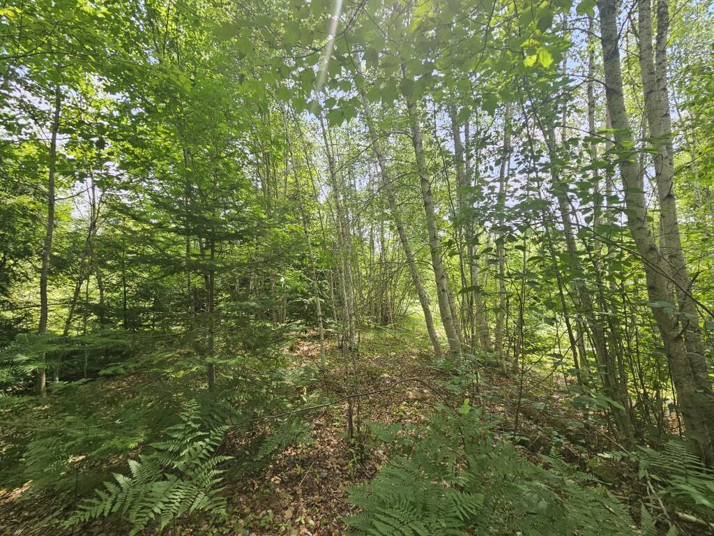 M5-l5 Call Road Milford, ME 04461 - Photo 23 of 51 20250706_124028