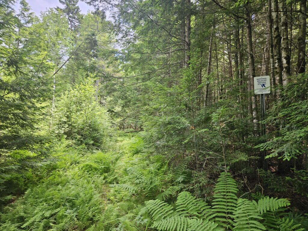 M5-l5 Call Road Milford, ME 04461 - Photo 24 of 51 20250706_123223