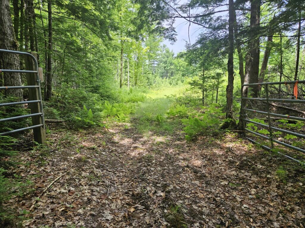 M5-l5 Call Road Milford, ME 04461 - Photo 25 of 51 Gate along south line