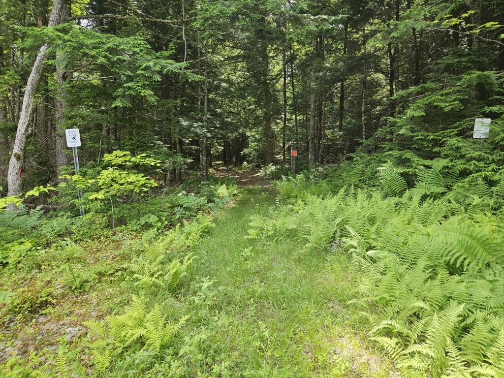 M5-l5 Call Road Milford, ME 04461 - Photo 26 of 51 South line to SMNWR