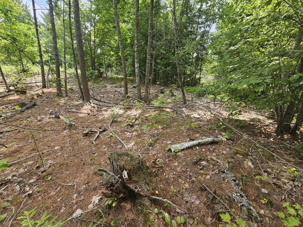 M5-l5 Call Road Milford, ME 04461 - Photo 27 of 51 20250706_122327