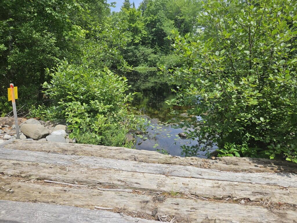 M5-l5 Call Road Milford, ME 04461 - Photo 28 of 51 Bride crossing swale