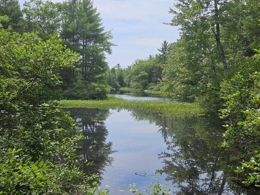 M5-l5 Call Road Milford, ME 04461 - Photo 30 of 51 20250706_122135