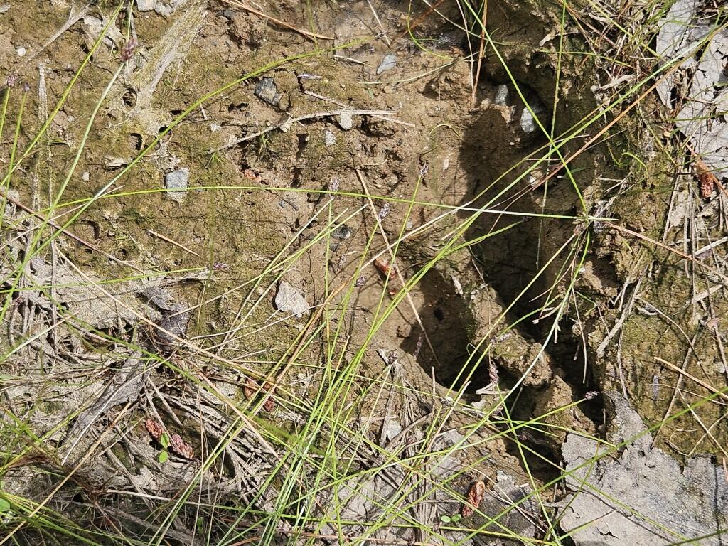 M5-l5 Call Road Milford, ME 04461 - Photo 33 of 51 20250706_121839