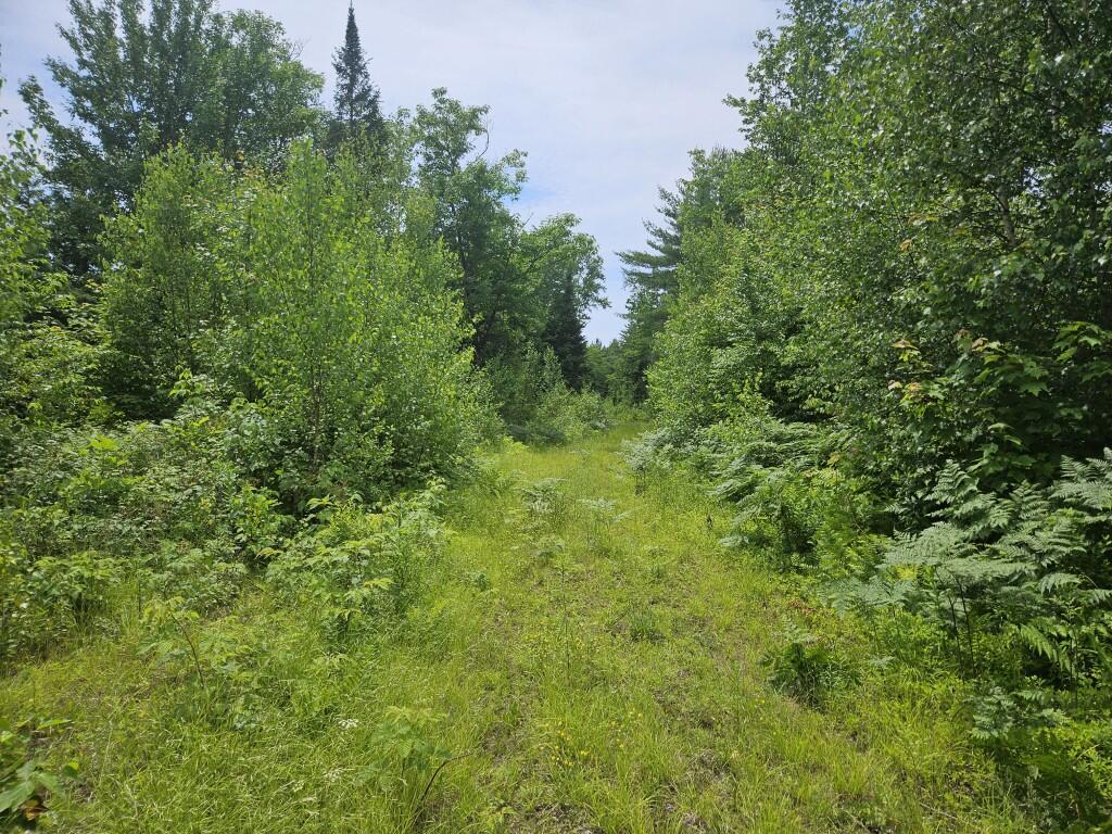 M5-l5 Call Road Milford, ME 04461 - Photo 34 of 51 20250706_121750