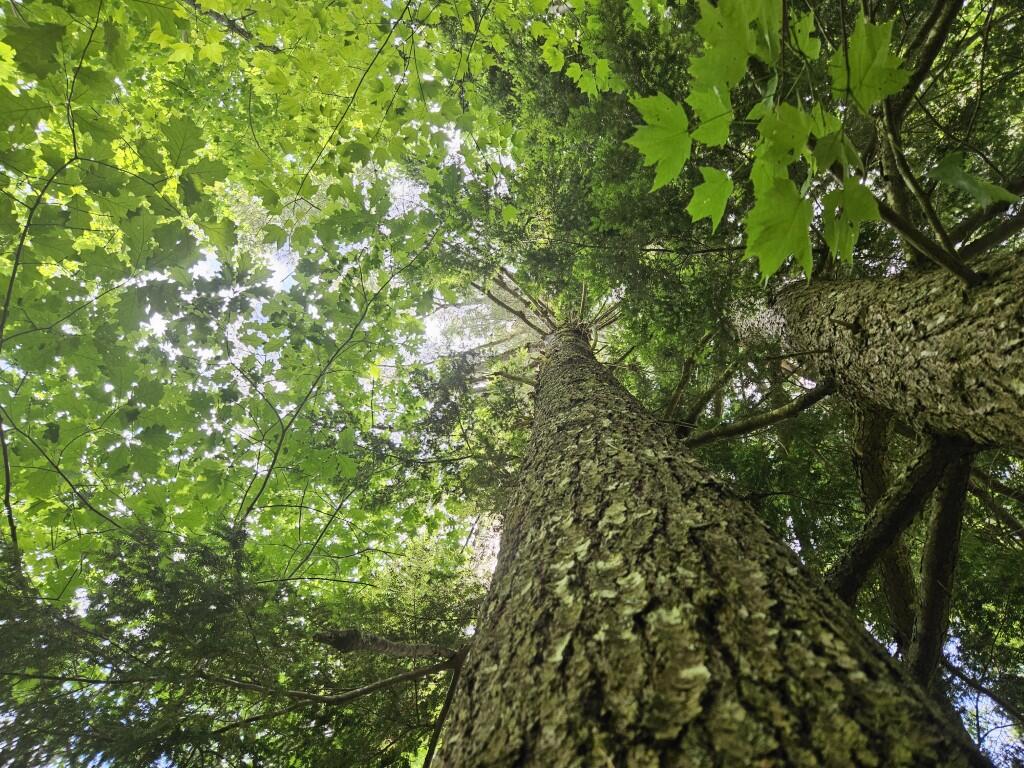 M5-l5 Call Road Milford, ME 04461 - Photo 35 of 51 20250706_121505