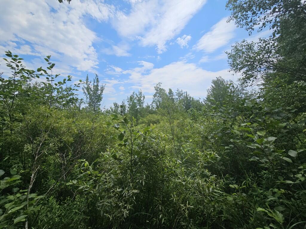 M5-l5 Call Road Milford, ME 04461 - Photo 38 of 51 20250706_120600