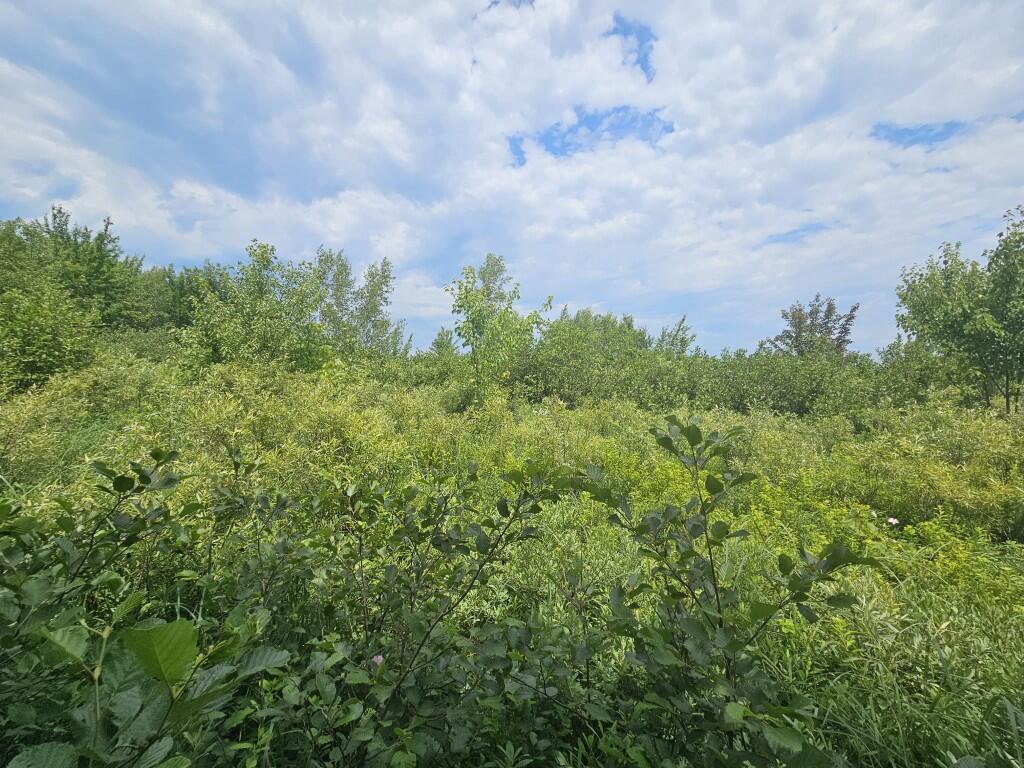 M5-l5 Call Road Milford, ME 04461 - Photo 39 of 51 20250706_120536