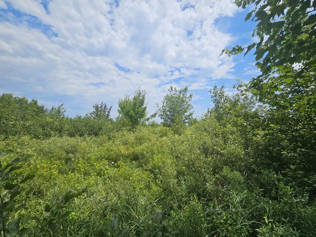 M5-l5 Call Road Milford, ME 04461 - Photo 40 of 51 20250706_120532