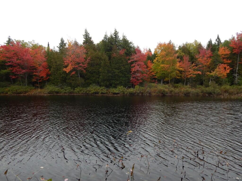 M5-l5 Call Road Milford, ME 04461 - Photo 4 of 51 Sherwood Pond - middle frontage