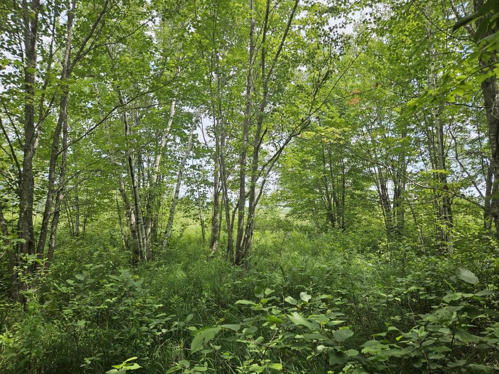 M5-l5 Call Road Milford, ME 04461 - Photo 41 of 51 20250706_120425