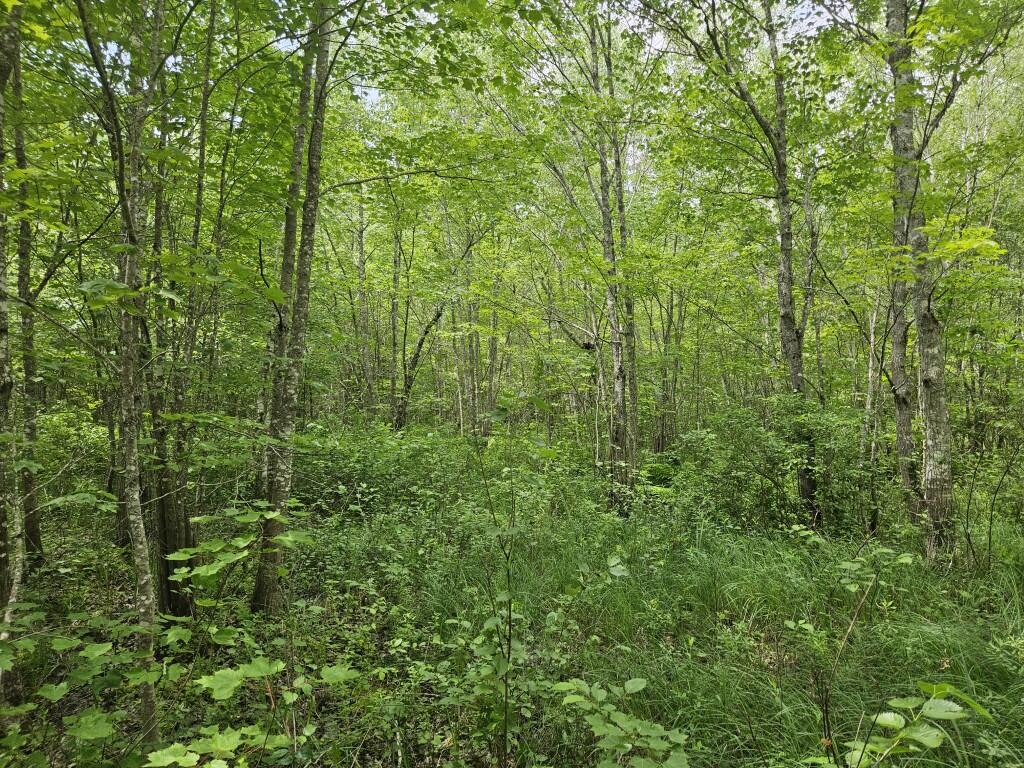 M5-l5 Call Road Milford, ME 04461 - Photo 42 of 51 20250706_120418