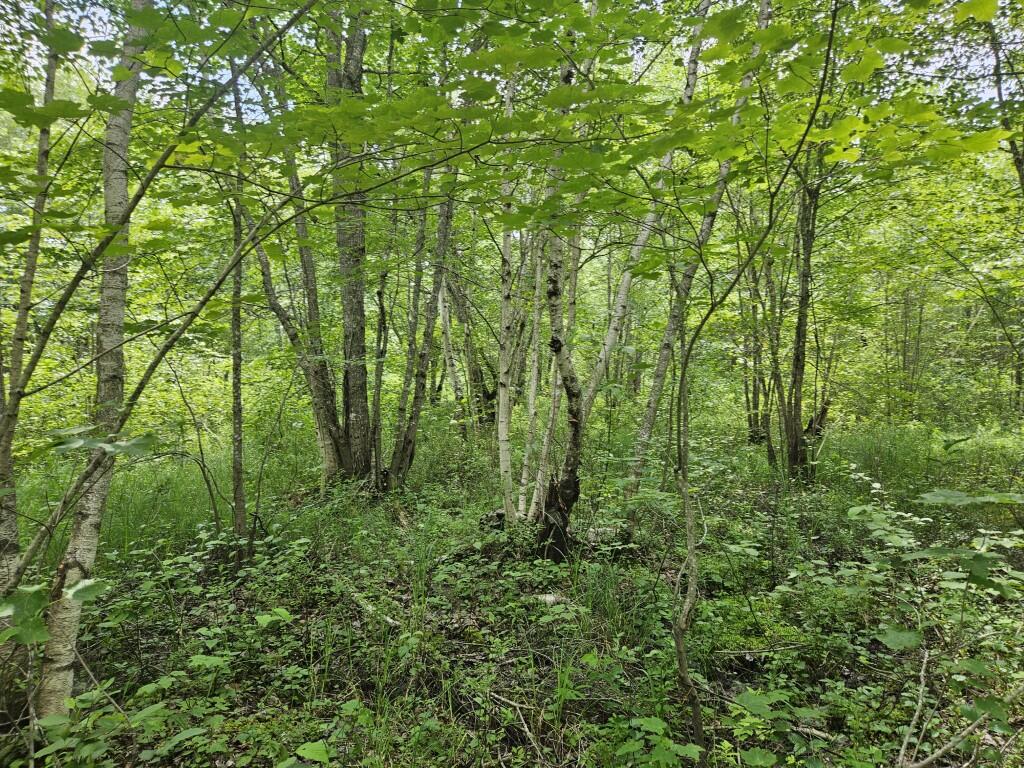 M5-l5 Call Road Milford, ME 04461 - Photo 43 of 51 20250706_120416