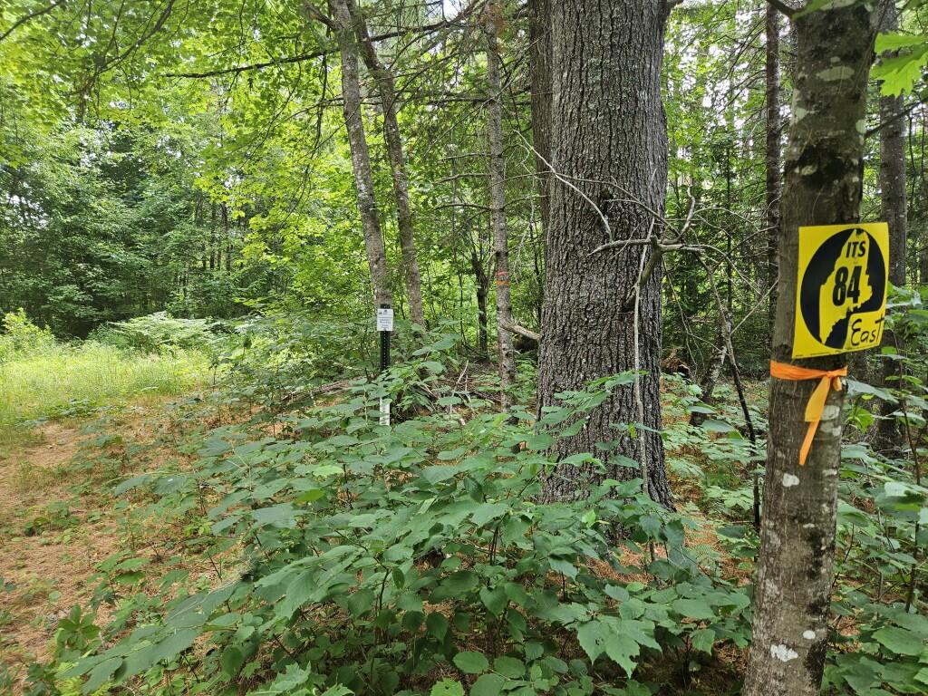 M5-l5 Call Road Milford, ME 04461 - Photo 44 of 51 20250706_115306