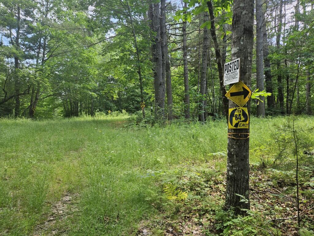 M5-l5 Call Road Milford, ME 04461 - Photo 45 of 51 20250706_115237