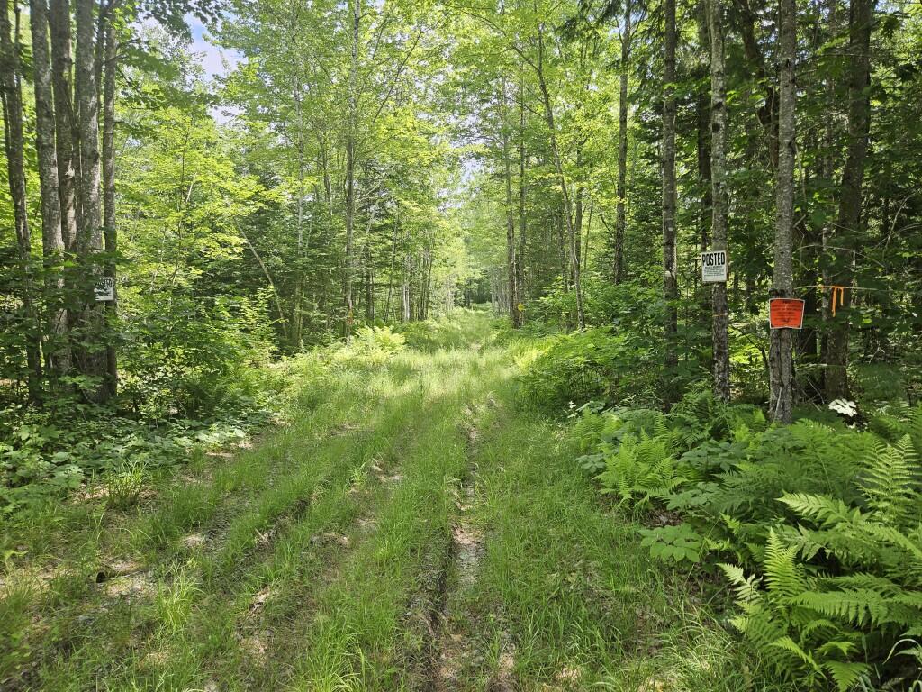 M5-l5 Call Road Milford, ME 04461 - Photo 50 of 51 20250706_113820