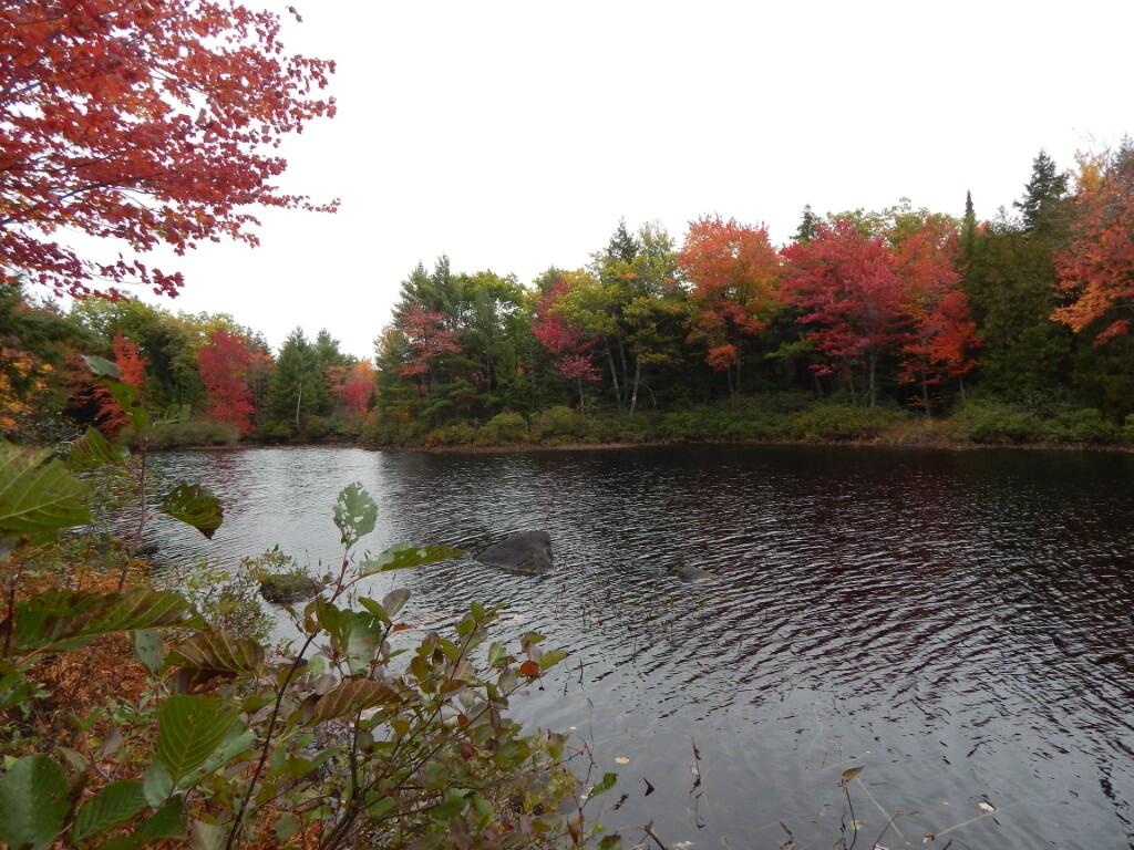 M5-l5 Call Road Milford, ME 04461 - Photo 5 of 51 Sherwood Pond - north frontage