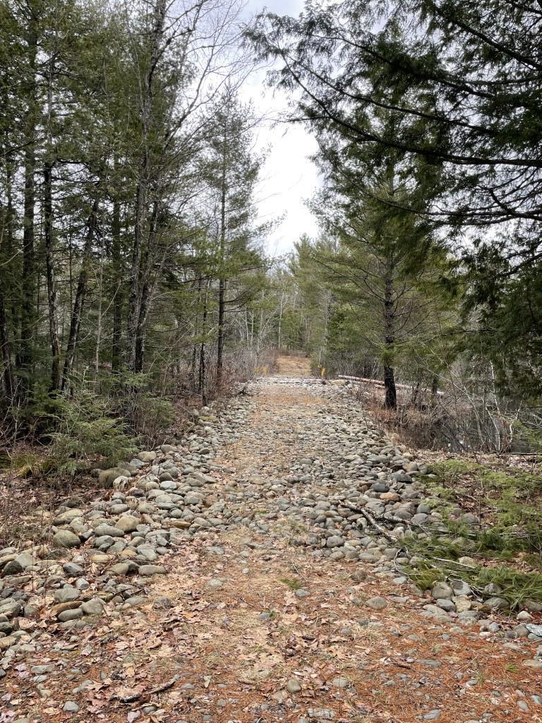 M5-l5 Call Road Milford, ME 04461 - Photo 10 of 51 Road across swale in SW corner