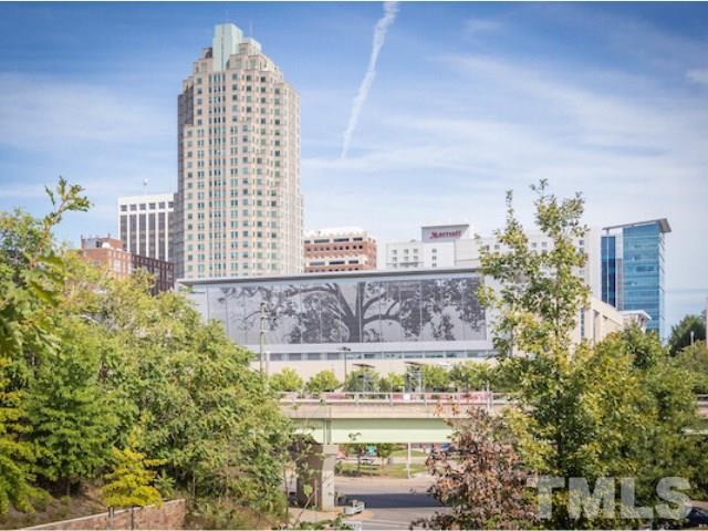 1300 Cameron View Court Raleigh, NC 27607 - Photo 28 of 30