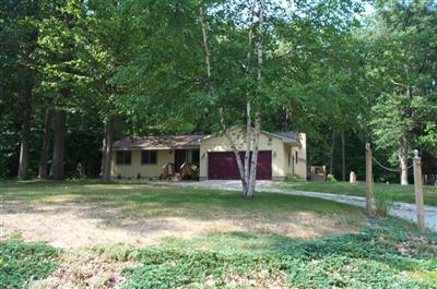 5220 West Bard Road Whitehall, MI 49461 - Photo 1 of 1 Primary Photo