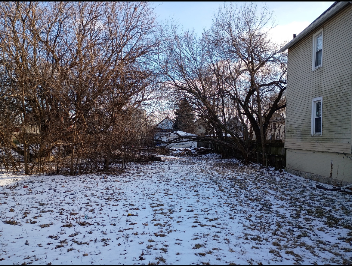6719 South Perry Avenue Chicago, IL 60621 - Photo 2 of 4 a backyard of a house with lots of green space