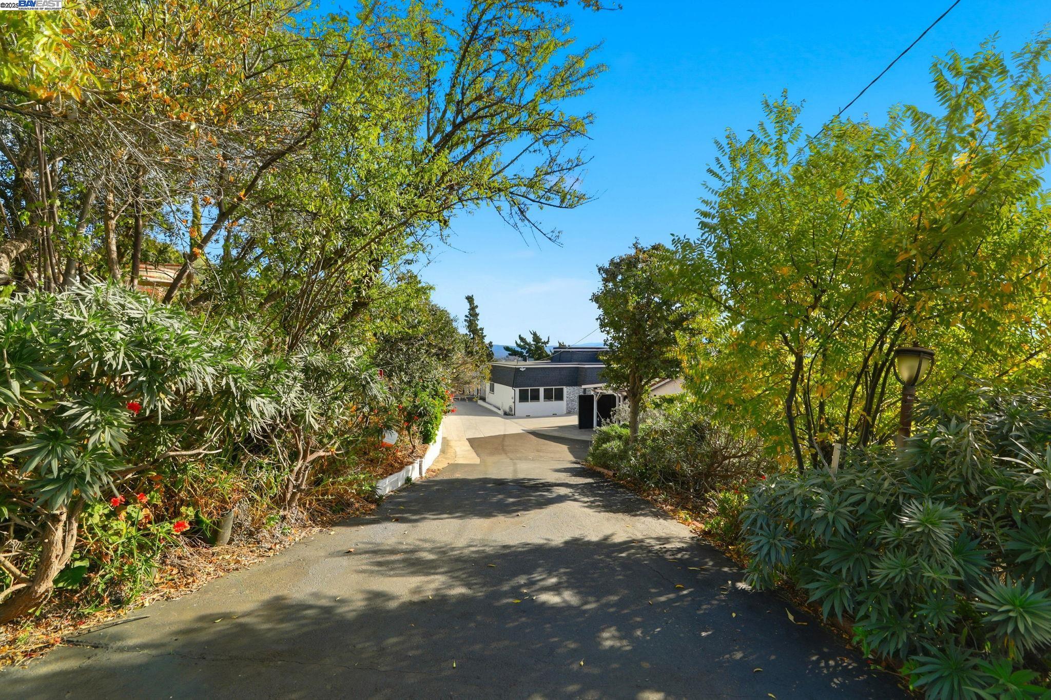 10745 Ridgeview Way San Jose, CA 95127 - Photo 49 of 54 a view of a backyard with plants and trees