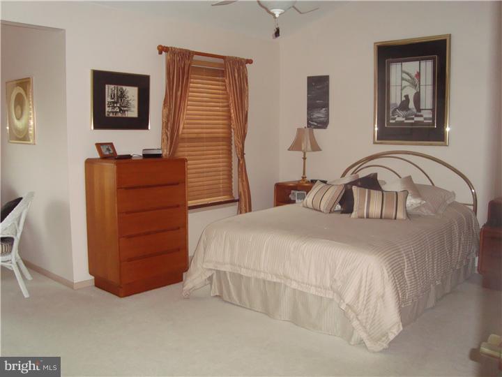 33 Trafalgar Road, Unit 18 Doylestown, PA 18901 - Photo 9 of 20 Master Bedroom