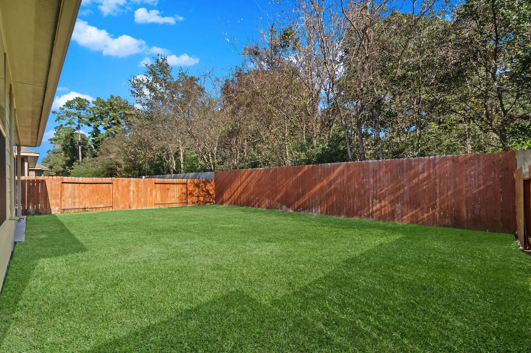 22314 Forbes Field Trail Spring, TX 77389 - Photo 39 of 46 No back neighbors when you are next to a wooded greenbelt!