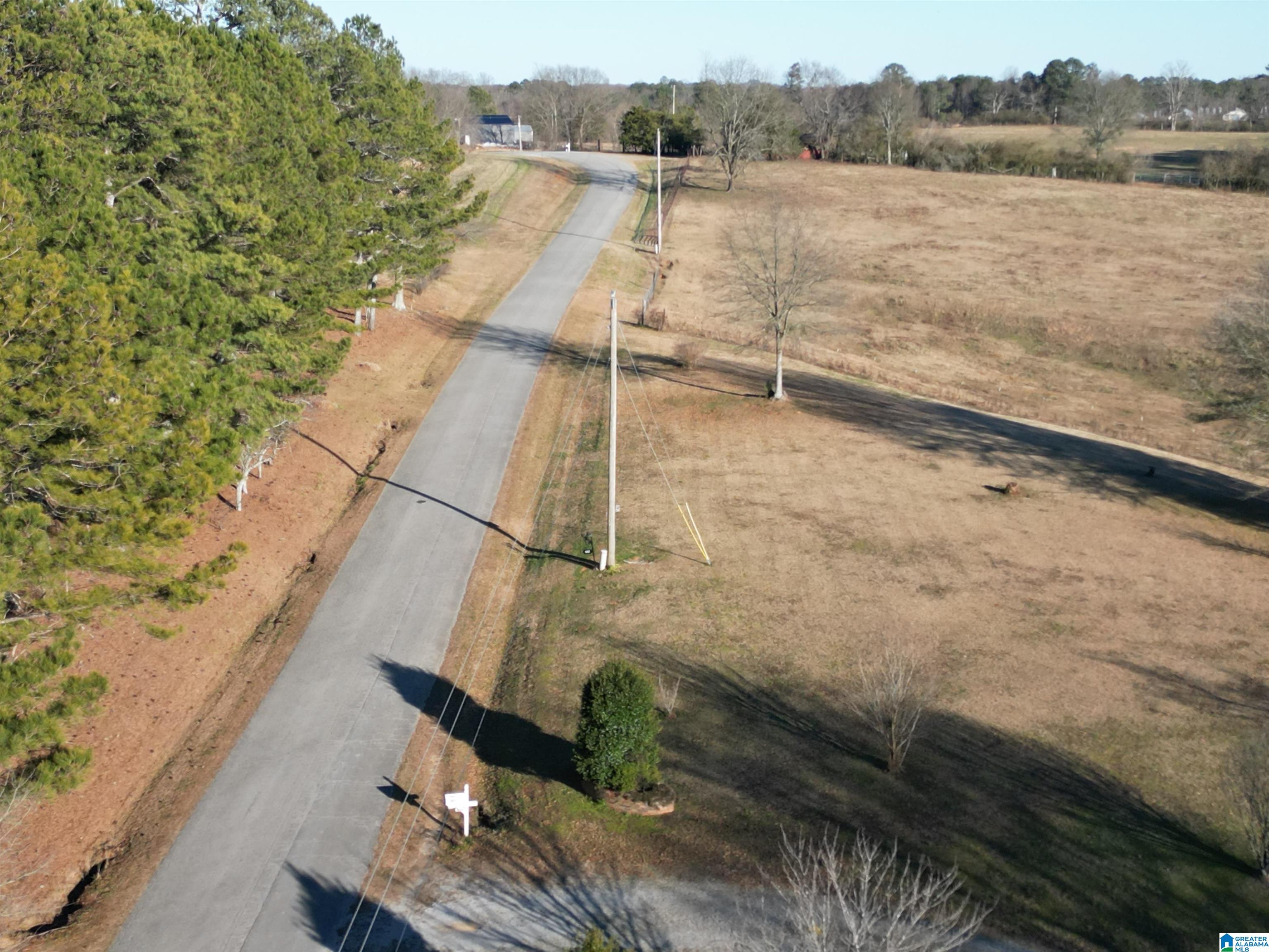 682 County Road 832 Logan, AL 35098 - Photo 37 of 48